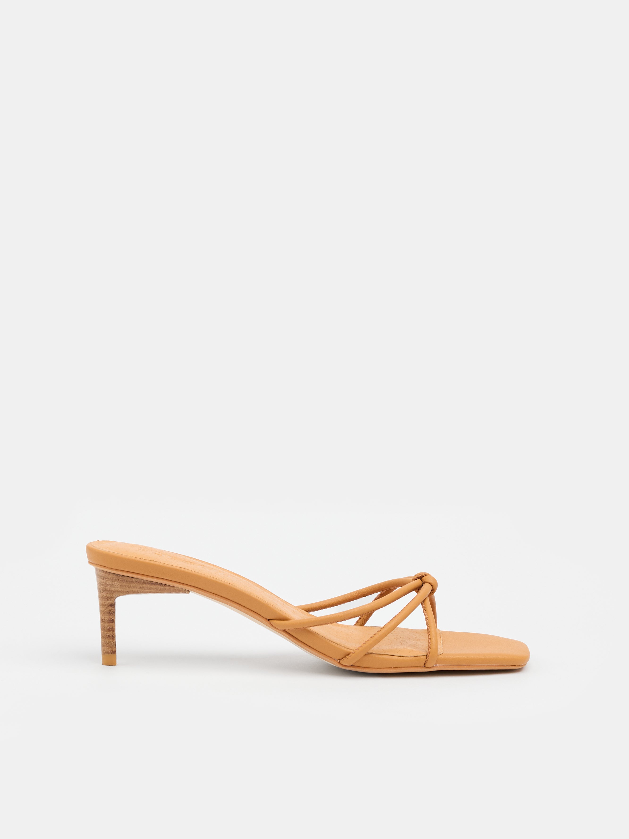 Cielo Mule Biscuit