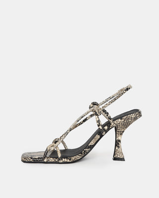 Verne Heel Python