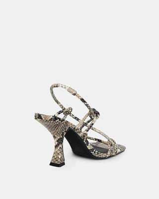 Verne Heel Python