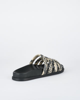 Fanelli Footbed Python