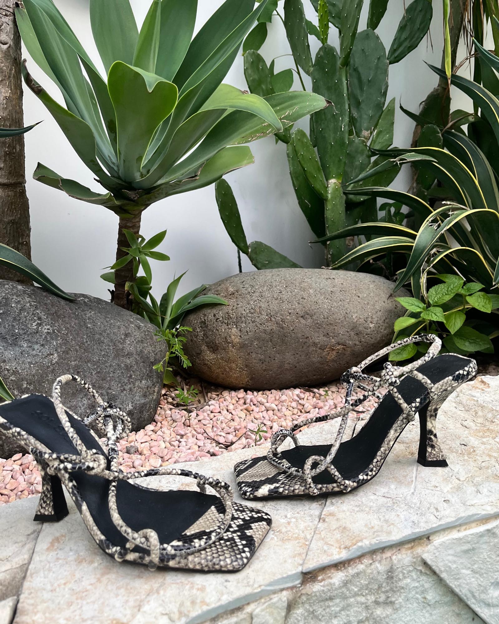 Verne Heel Python