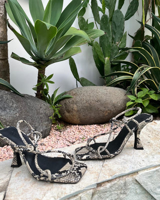 Verne Heel Python