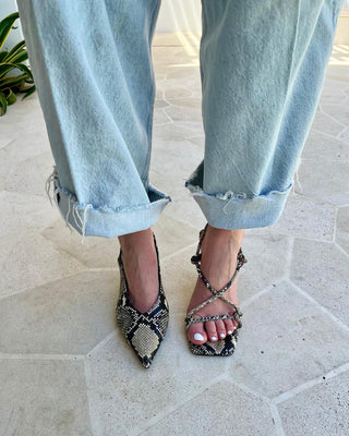 Verne Heel Python